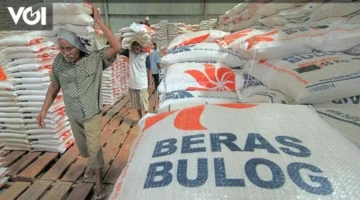 مخزونات الأرز في آتشيه وسومطرة ترتفع لمواجهة فيضانات مستمرة